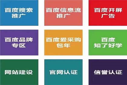 初学者的百度竞价推广：成功案例揭秘